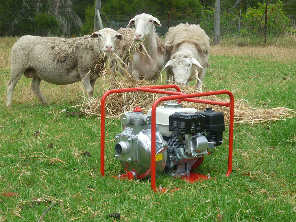 Aus Pumps Online Sydney Aussie Pumps Reseller water pumps rural agriculture farming sheep